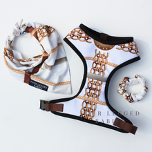 Load image into Gallery viewer, Golden Muse Bandana and collar
