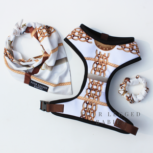 Golden Muse Bandana and collar