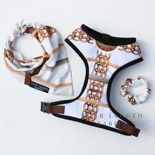 Load image into Gallery viewer, Golden Muse Harness and bandana