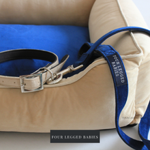 Load image into Gallery viewer, Dreamland cuddler and collar and leash set