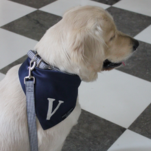 Load image into Gallery viewer, Midnight letter bandana and stylish collar and leash set