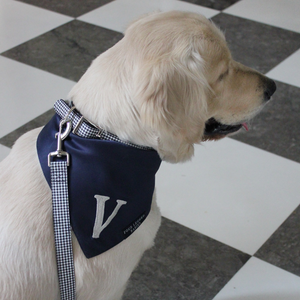 Midnight letter bandana and stylish collar and leash set