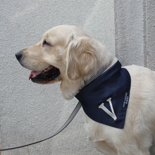 Load image into Gallery viewer, Dog wearing Midnight letter bandana and leash