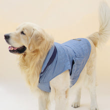 Load image into Gallery viewer, New Quilted Dog jacket Sky Blue