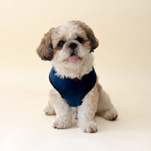 Load image into Gallery viewer, Midnight Luxurious Dog Harness &amp; Leash Set
