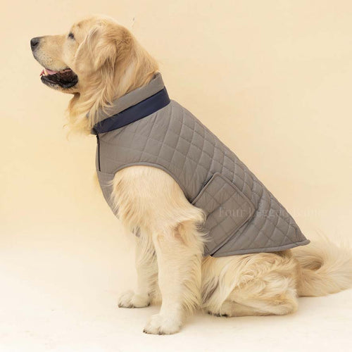 Quilted Dog jacket grey