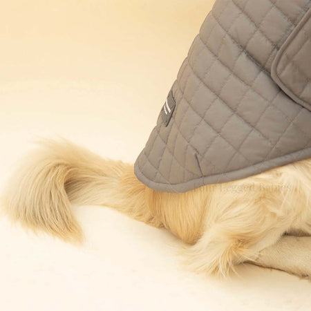 Quilted Dog jacket grey