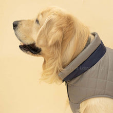 Load image into Gallery viewer, Quilted Dog jacket grey