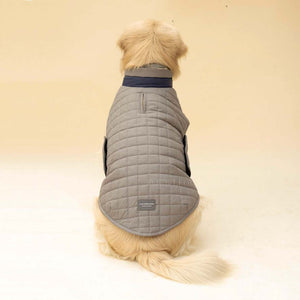 Quilted Dog jacket grey