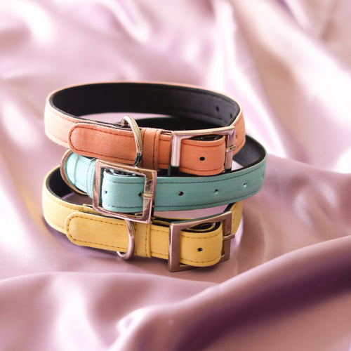 Dog Denim Cushioned Collars