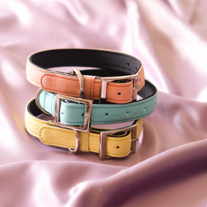 Dog Denim Cushioned Collars