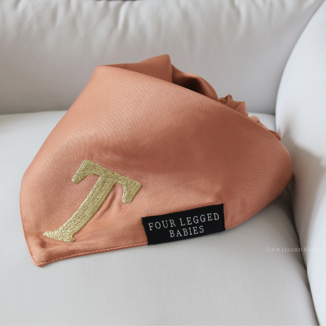 Rose gold  letter bandana