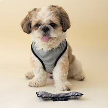 Load image into Gallery viewer, Classic Gingham Harness &amp; Leash Set