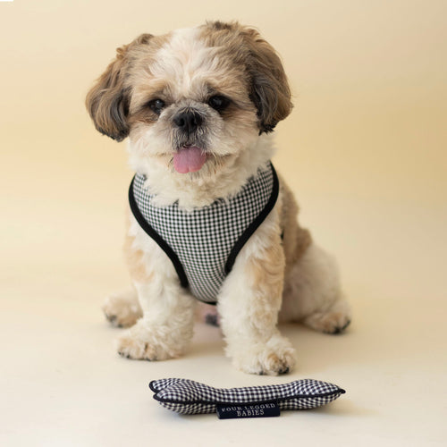 Classic Gingham Harness