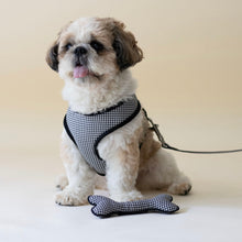 Load image into Gallery viewer, Classic Gingham Harness &amp; Leash Set