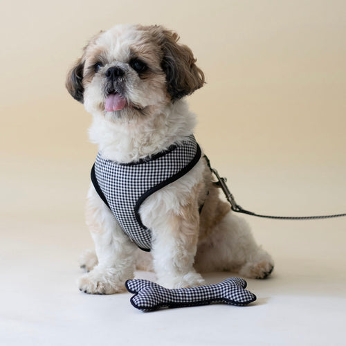 Classic Gingham Harness & Leash Set