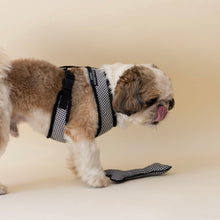 Load image into Gallery viewer, Classic Gingham Harness &amp; Leash Set