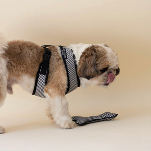 Classic Gingham Harness & Leash Set