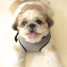 Load image into Gallery viewer, Chivalrous Luxurious Grey Dog Harness &amp; Leash Set