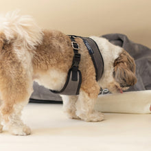 Load image into Gallery viewer, Chivalrous Luxurious Grey Dog Harness