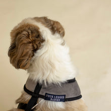 Load image into Gallery viewer, Chivalrous Luxurious Grey Dog Harness