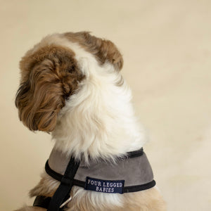 Chivalrous Luxurious Grey Dog Harness & Leash Set