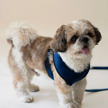 Load image into Gallery viewer, Midnight Luxurious Dog Harness &amp; Leash Set