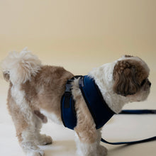 Load image into Gallery viewer, Midnight Luxurious Dog Harness