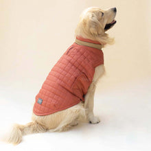 Load image into Gallery viewer, Quilted Dog jacket Coral