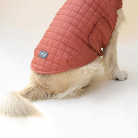 Quilted Dog jacket Coral