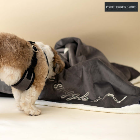 Grey Luxurious Dog blanket machine Washable For Daily Use