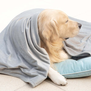 Cosy Blanket