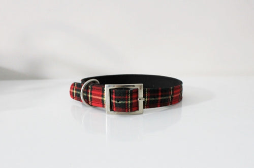 Tartan Luxurious Collar