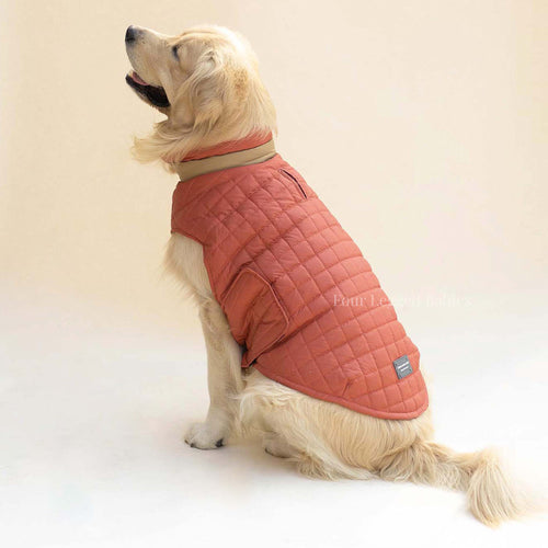 Quilted Dog jacket Coral