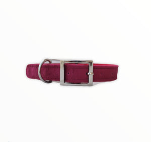 Crimson Velvet Collar