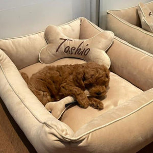 Dream Cream Luxurious Dog Bed Removable Italian Velvet Cover & Machine Washable Bed For Daily Use