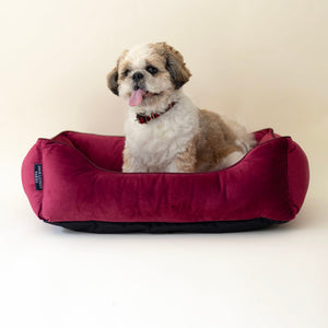 Personalised Crimson Luxury Dog Gift Set