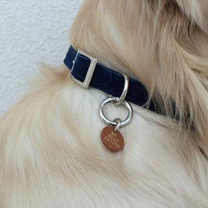 Royal Blue Velvet Luxurious Collar – FourLeggedBabies