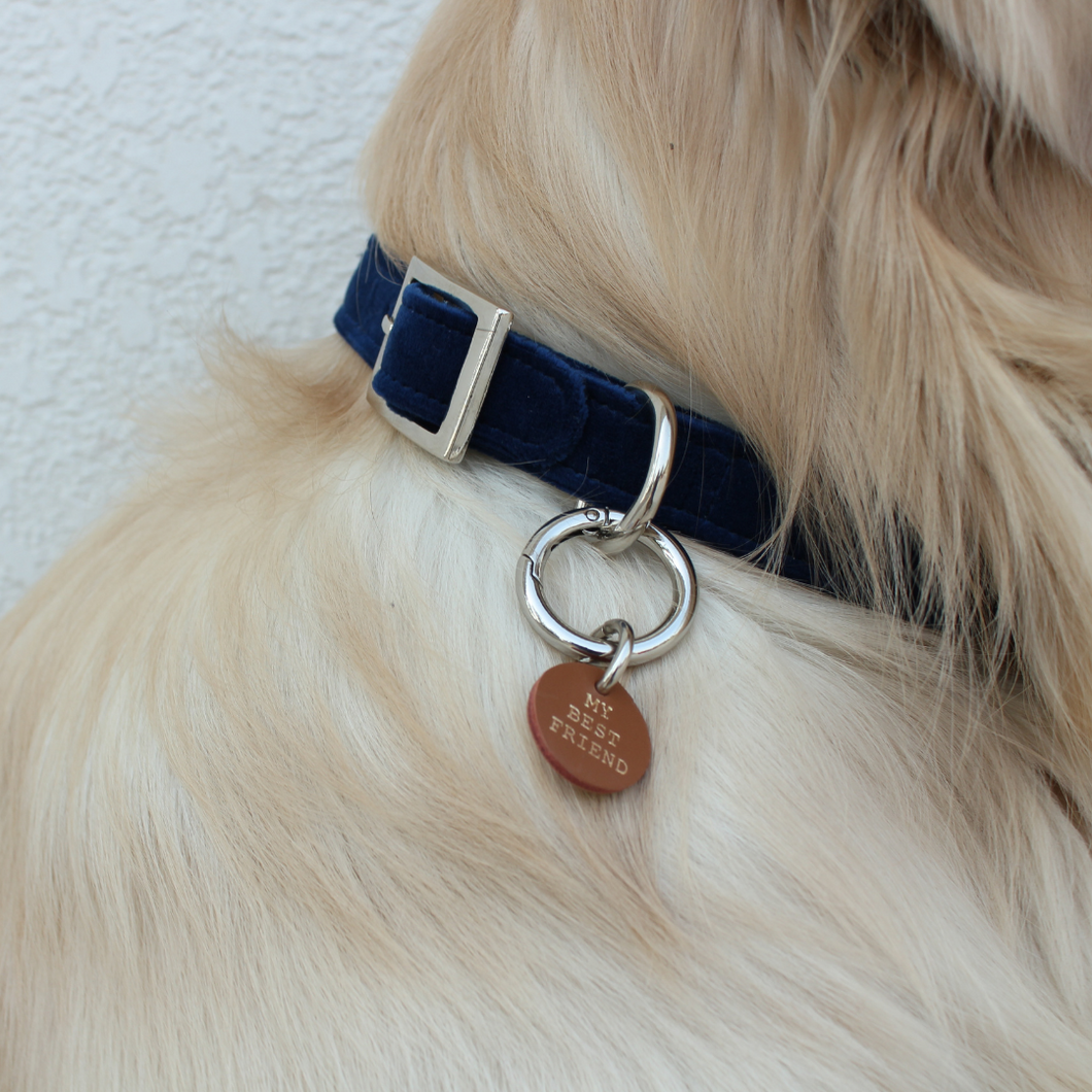 Royal Blue Velvet Luxurious Collar