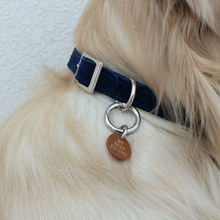 Load image into Gallery viewer, my best friend Mid night Collar &amp; Leash set on dog neck