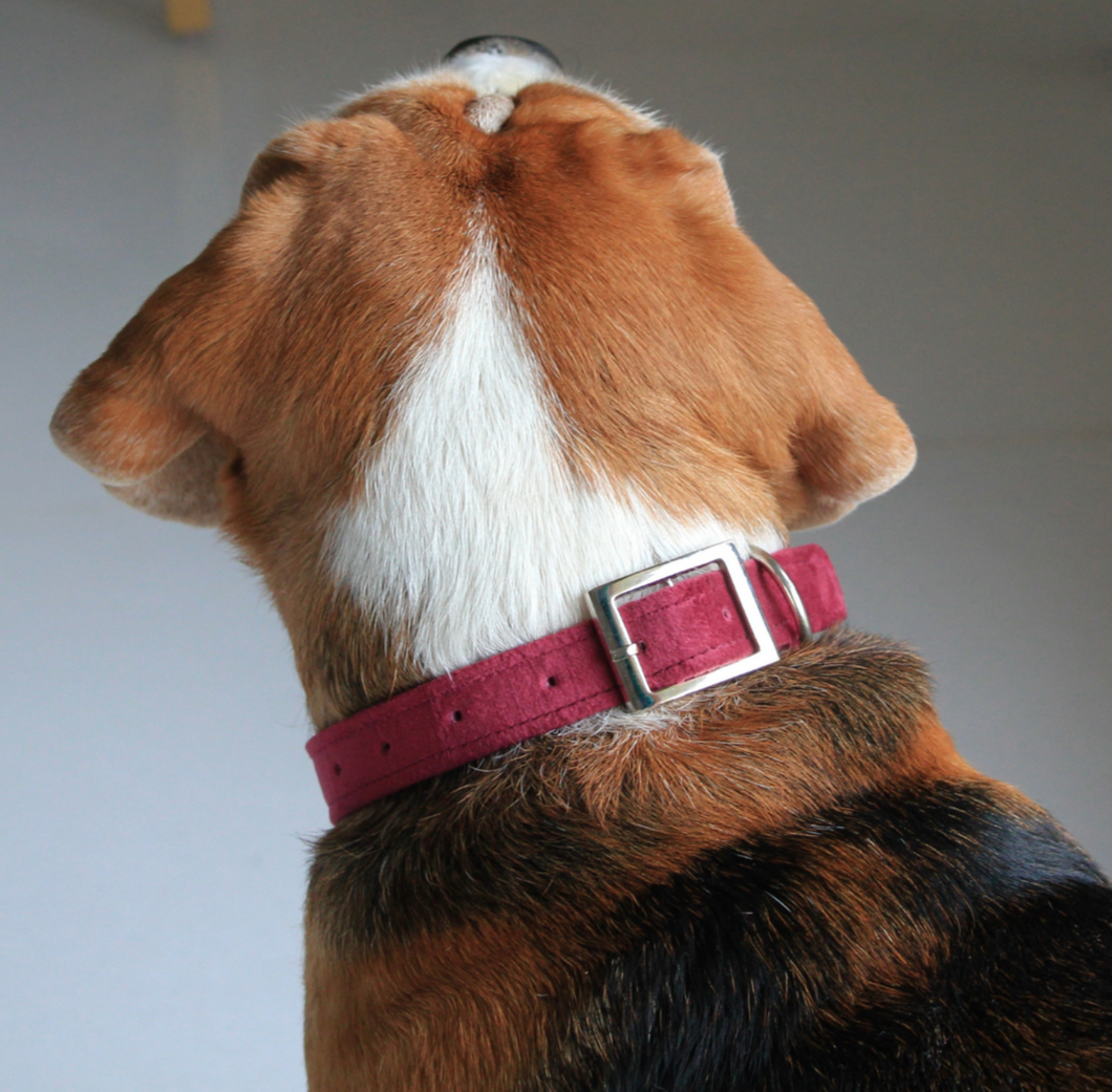 Crimson Velvet Luxurious Collar FourLeggedBabies