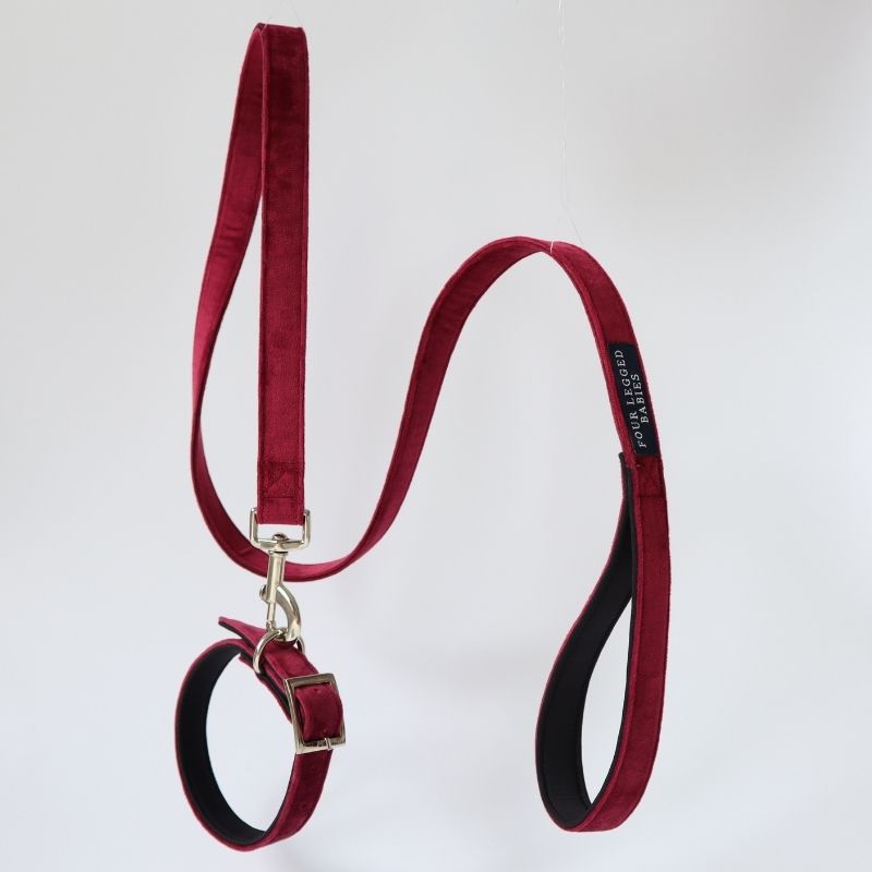 Crimson collar & Leash set 
