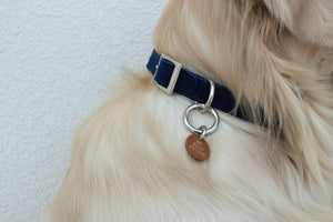 my best friend keychain on dog neck