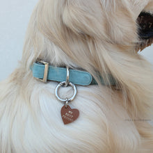 Load image into Gallery viewer, Soft sky Collar &amp; Leash set
