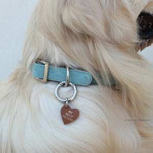 Soft sky Collar & Leash set