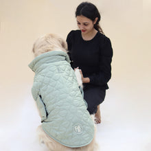 Load image into Gallery viewer, New Quilted Dog jacket Pistache