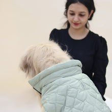 Load image into Gallery viewer, New Quilted Dog jacket Pistache