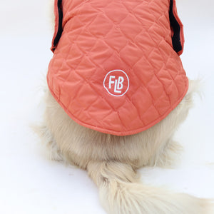 New Quilted Dog jacket Mid Orange