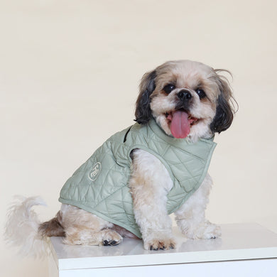 New Pistache Packable Quilted Dog jacket