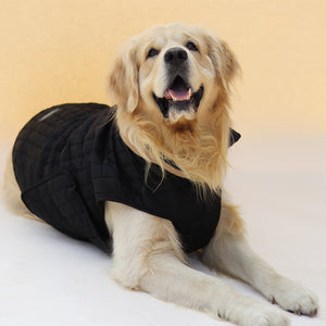 New Quilted Dog jacket black